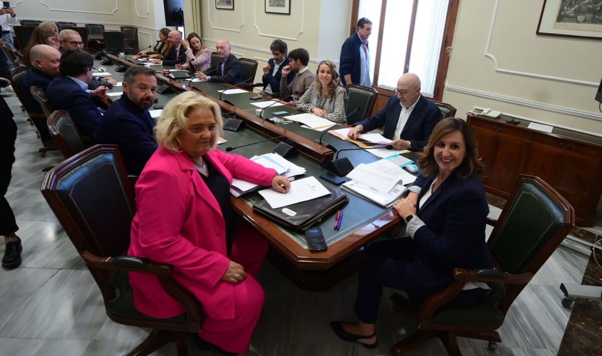 Gobierno municipal de Valencia PP-Vox